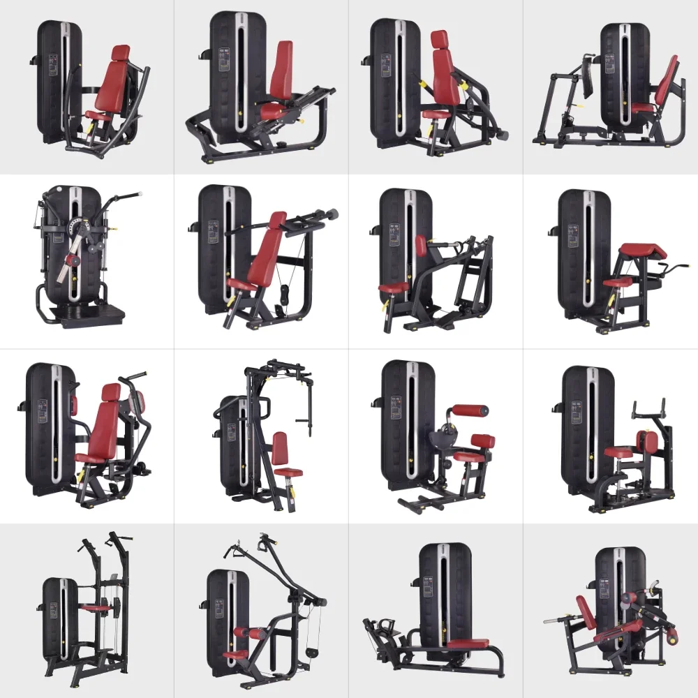 2026BFT 1000 Series Commercial - огляд і ціна Sports Equipment Suppliers